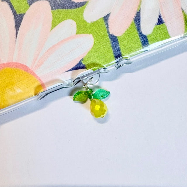 Crystal Fruit USB-C Charger Charms