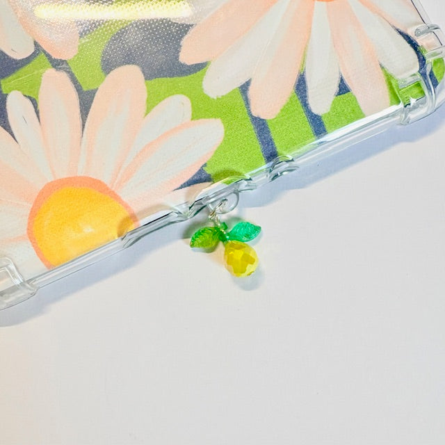 Crystal Fruit USB-C Charger Charms