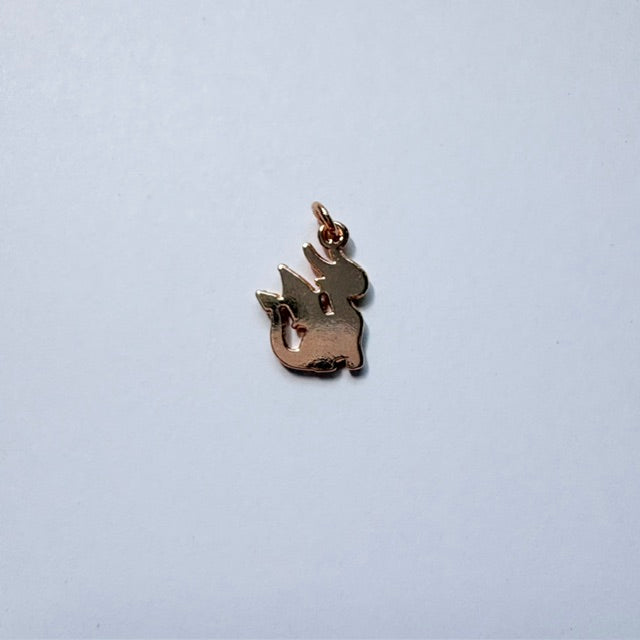 Little Dragon Charm