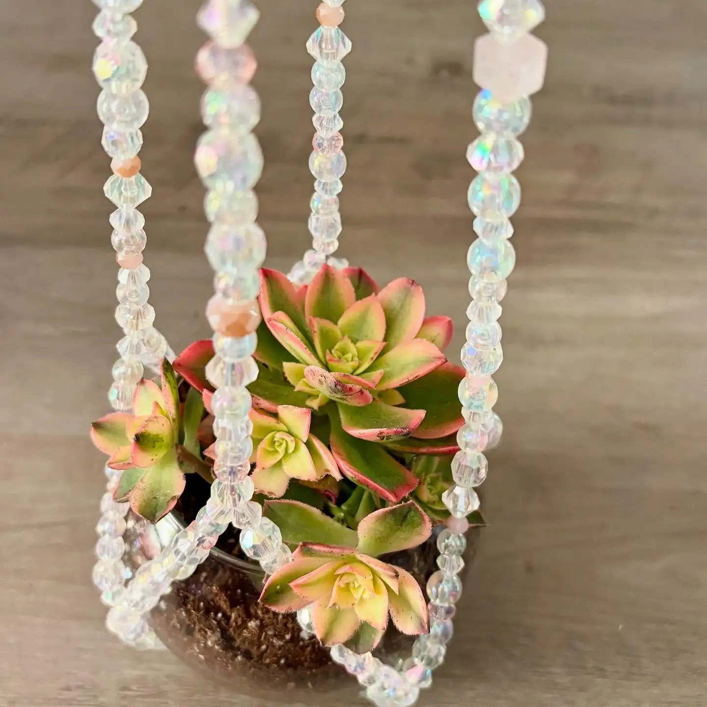 A beautiful handmade beaded plant hanger holding a small plant, backlit by a sunny window.